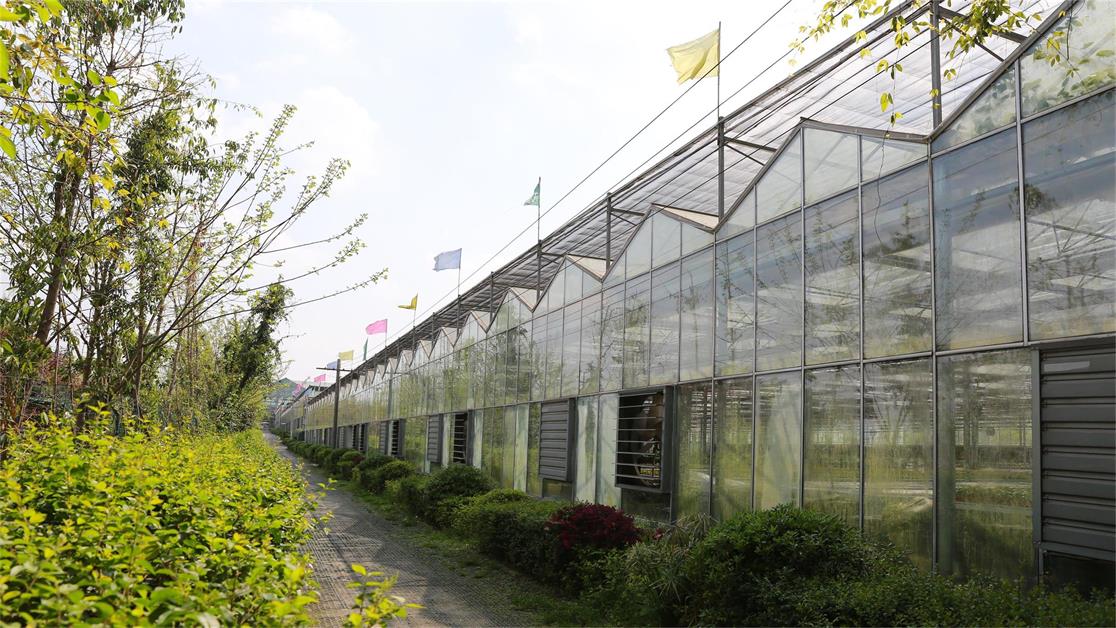 成都四川玻璃溫室大棚