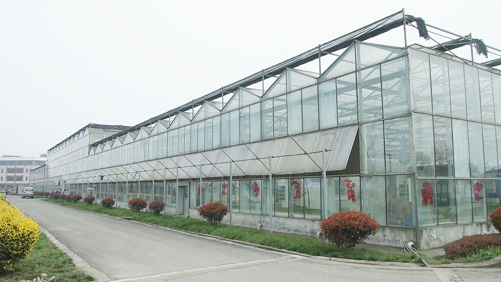 四川玻璃溫室大棚