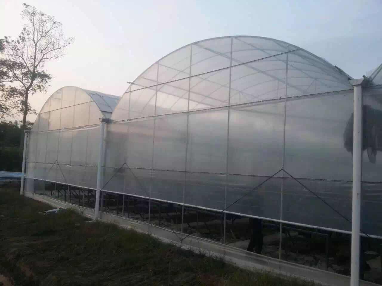 成都連棟溫室大棚