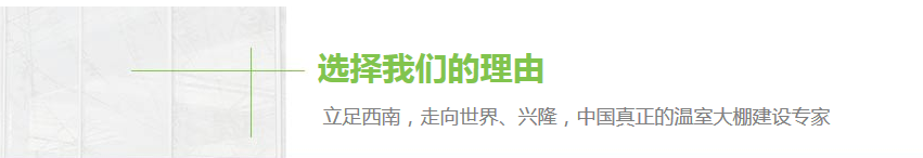 四川節(jié)水灌溉