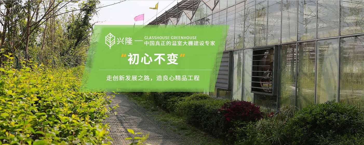 四川PC板溫室大棚