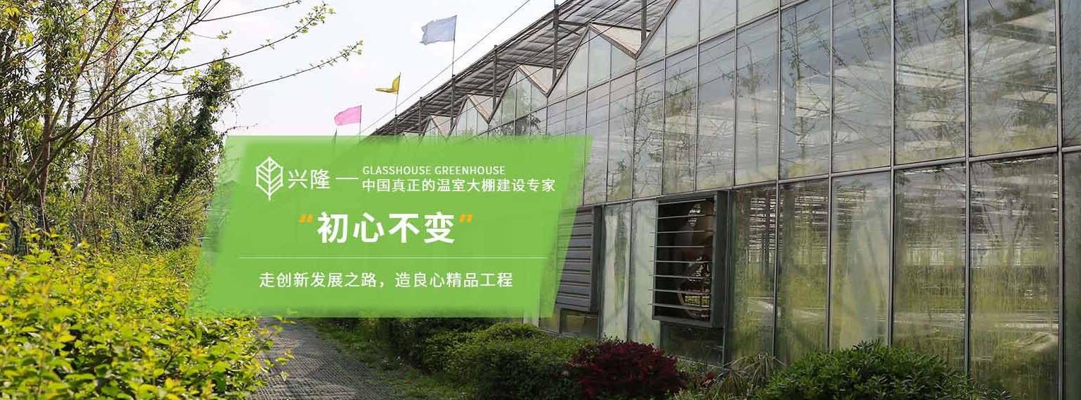 四川PC板溫室大棚