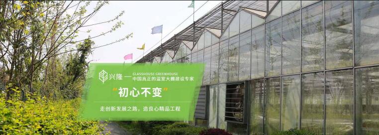 四川PC板溫室大棚