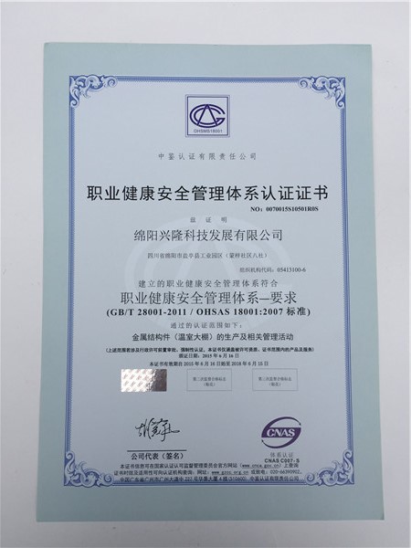 職業(yè)健康安全管理體系認(rèn)證證書