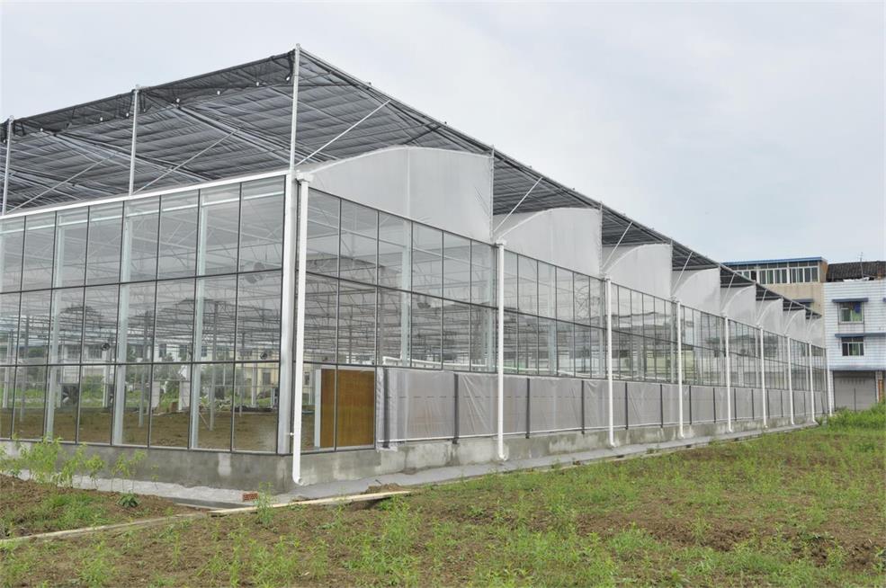 四川連棟溫室大棚