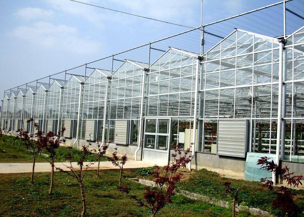 四川溫室大棚